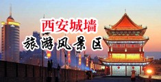 骚货hhh中国陕西-西安城墙旅游风景区