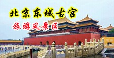 嫩草研究ckplayer萌妹子啪啪中国北京-东城古宫旅游风景区